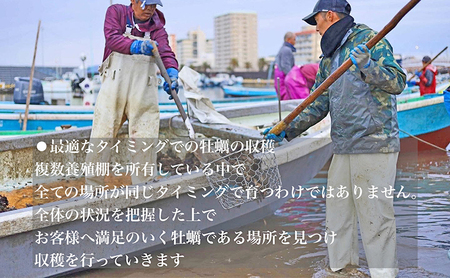 【2026年1月より順次発送】浜名湖産かき大粒むき身1kg（加熱用） 牡蠣 八木田オイスター 海鮮 魚介 国産 浜名湖産 貝付き 生牡蠣 焼き牡蠣 蒸し牡蠣 冷蔵 産地直送