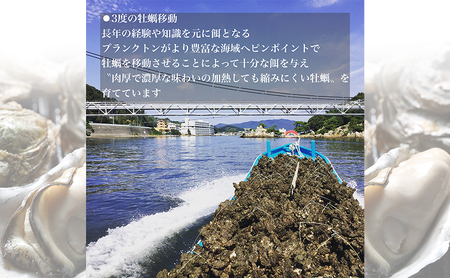 【2026年1月より順次発送】浜名湖産かき大粒むき身1kg（加熱用） 牡蠣 八木田オイスター 海鮮 魚介 国産 浜名湖産 貝付き 生牡蠣 焼き牡蠣 蒸し牡蠣 冷蔵 産地直送