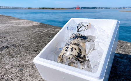 【2026年1月より順次発送】浜名湖産かき大粒むき身1kg（加熱用） 牡蠣 八木田オイスター 海鮮 魚介 国産 浜名湖産 貝付き 生牡蠣 焼き牡蠣 蒸し牡蠣 冷蔵 産地直送