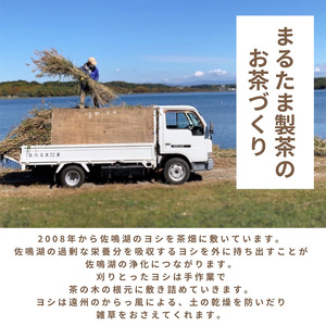 静岡茶の緑茶ティーバッグ静岡県産【特別栽培】水出し・お湯出し用（30ヶ入り×2袋セット）