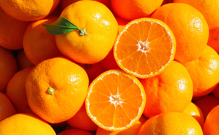 うんしゅうみかん100％ジュース180ml　12本入り 温州みかん