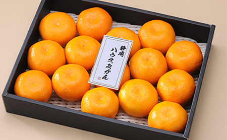 【2026年6月下旬より順次発送】静岡県浜松市産ハウスみかん1.4kg