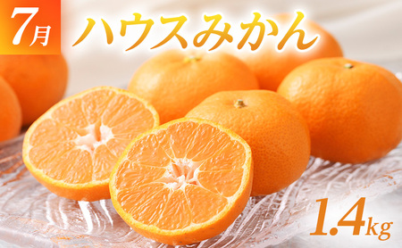 【2026年6月上旬より発送】浜松市の夏のフルーツ定期便 3回(6月~8月)クラウンメロン・ハウスみかん・マスクメロン