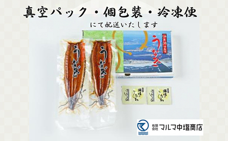 うなぎ 国産 浜名湖マルマ(R) 浜名湖産うなぎ　長蒲焼　2尾 合計200g以上 たれ（山椒）付【浜松市】