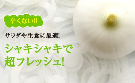 【テレビで紹介されました！】浜松篠原産新白玉ねぎプレミアムホワイト5キロ【無選別品】 野菜 たまねぎ タマネギ 玉葱 新玉ねぎ 5kg 