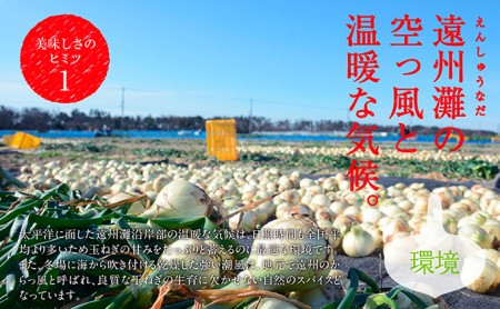 浜松篠原産新玉ねぎプレミアムフレッシュ10キロ【無選別品】 野菜 たまねぎ タマネギ 10kg 