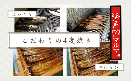 うなぎ 浜名湖 国産 細切りうなぎ５袋 うなぎ蒲焼 浜名湖産 国産うなぎ 惣菜 おかず ギフト 贈答 土用の丑の日 丑の日 蒲焼き 鰻 真空パック 冷凍 静岡 浜松市