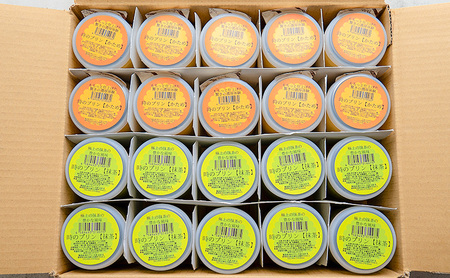 時のプリン【かため】10個 【抹茶】10個　セット プリン 固め スイーツ デザート 無添加 極上 濃厚 浜松市 静岡