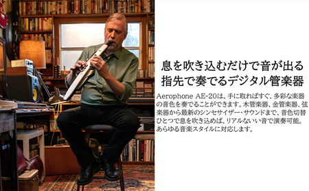 【Roland】電子管楽器/Aerophone AE-20【配送不可:離島】 雑貨 日用品