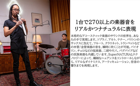 【Roland】電子管楽器/Aerophone AE-20【配送不可:離島】 雑貨 日用品