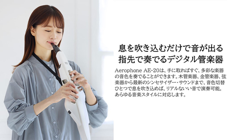 【Roland】電子管楽器/Aerophone AE-20W(パールホワイト)【配送不可：離島】 雑貨 日用品 