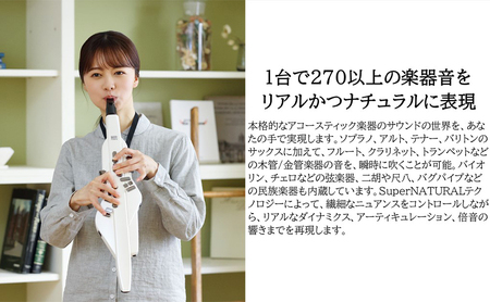【Roland】電子管楽器/Aerophone AE-20W(パールホワイト)【配送不可：離島】 雑貨 日用品 
