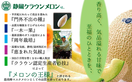 クラウンメロン　白　中玉　1玉　12ヵ月連続お届け【配送不可：離島】 果物類 メロン青肉 フルーツ 