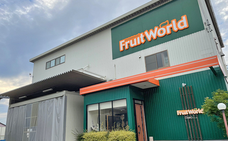 【2026年4月上旬より順次発送】 静岡県浜松市産グレープフルーツ約2kg（4〜6個） 果物 フルーツ 国産 静岡 浜松市