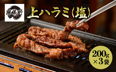 勝美野のホルモン 上ハラミ(塩)200g×3袋 焼肉 自家製だれ 浜松市 静岡 10,800円