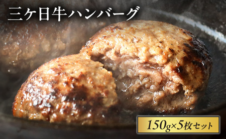 三ケ日牛ハンバーグ 150g×5枚セット 三ケ日牛 牛肉 ハンバーグ セット 冷凍 惣菜 静岡 浜松市