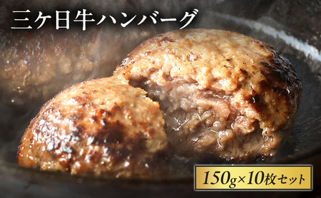 三ケ日牛ハンバーグ 150g×10枚セット 三ケ日牛 牛肉 ハンバーグ セット 冷凍 惣菜 静岡 浜松市
