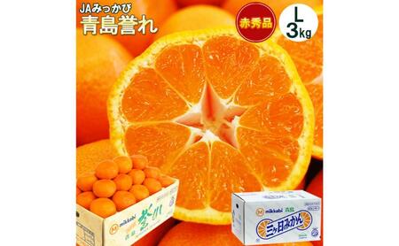 三ヶ日みかん 本貯蔵 青島 誉れ 【赤秀】Lサイズ 3キロ(23個前後) ミカン 果物 くだもの フルーツ 甘い 浜松市 果物類 柑橘類 6,840円