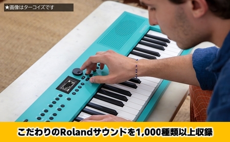【Roland】61鍵ポータブルキーボード/GO:KEYS 3(ミッドナイトブルー)【配送不可：離島】 キーボード 楽器 音楽制作 初心者 軽量 コンパクト ポータブル ローランド 浜松市