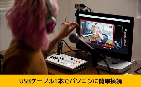 【Roland Pro A/V】AVストリーミングミキサー/VR-1HD【配送不可：離島】 ミキサー 配信 手軽 簡単 ローランド 浜松市