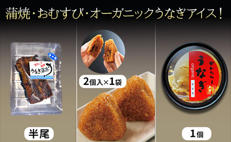 うなぎの蒲焼半尾約60g/うなぎ入りおむすび2個入1袋/うなぎアイス2個セット うなぎ 鰻 ウナギ 蒲焼 アイス おむすび おにぎり おやつ デザート スイーツ セット 冷凍 国産鰻 浜松市 静岡県