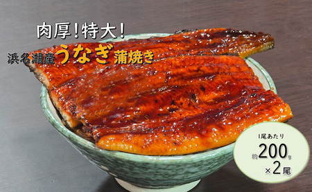工場直送！特大!!浜名湖産うなぎ蒲焼き 真空パック 約200g×2尾 タレ・山椒付き うなぎ 鰻 ウナギ 蒲焼 冷凍 浜松市 静岡