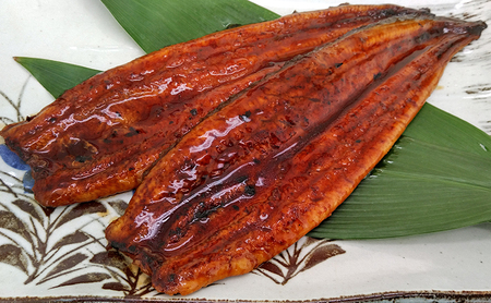 工場直送！特大!!浜名湖産うなぎ蒲焼き 真空パック 約200g×2尾 タレ・山椒付き うなぎ 鰻 ウナギ 蒲焼 冷凍 浜松市 静岡