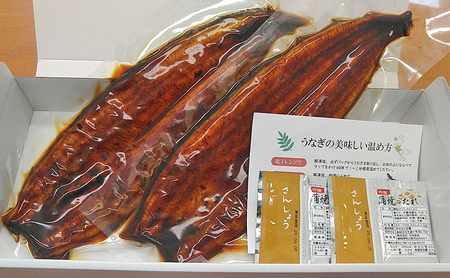 工場直送！特大!!浜名湖産うなぎ蒲焼き 真空パック 約200g×2尾 タレ・山椒付き うなぎ 鰻 ウナギ 蒲焼 冷凍 浜松市 静岡