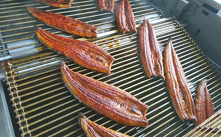 工場直送！特大!!浜名湖産うなぎ蒲焼き 真空パック 約200g×2尾 タレ・山椒付き うなぎ 鰻 ウナギ 蒲焼 冷凍 浜松市 静岡