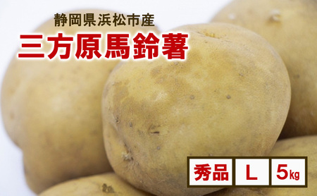 静岡県浜松市産 三方原馬鈴薯 秀品 L 5kg 男爵 じゃがいも じゃが芋 ジャガイモ 国産 野菜 浜松市