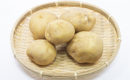 静岡県浜松市産 三方原馬鈴薯 秀品 L 5kg 男爵 じゃがいも じゃが芋 ジャガイモ 国産 野菜 浜松市