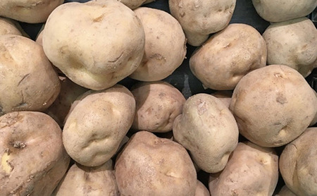 静岡県浜松市産 訳あり 三方原馬鈴薯 10kg 男爵 じゃがいも じゃが芋 ジャガイモ 国産 野菜 浜松市