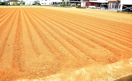 静岡県浜松市産 訳あり 三方原馬鈴薯 10kg 男爵 じゃがいも じゃが芋 ジャガイモ 国産 野菜 浜松市