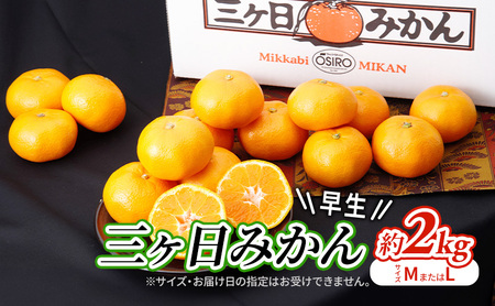 【2026年11月中旬より順次発送】 三ヶ日みかん 早生 約2kg(サイズ:MまたはL) みかん ミカン 果物 柑橘 フルーツ 静岡 浜松市
