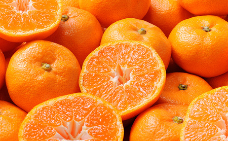 【2026年11月中旬より順次発送】 三ヶ日みかん 早生 約2kg(サイズ:MまたはL) みかん ミカン 果物 柑橘 フルーツ 静岡 浜松市