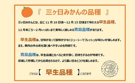【2026年11月中旬より順次発送】 三ヶ日みかん 早生 約2kg(サイズ:MまたはL) みかん ミカン 果物 柑橘 フルーツ 静岡 浜松市