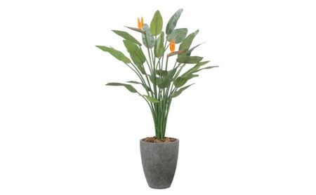 光の楽園 ナチュラルストレチア花付き1.7【配送不可：北海道・沖縄・離島】 インテリア 光触媒 人工植物 造花 フェイクグリーン 花 フラワー 清浄 消臭 浜松市