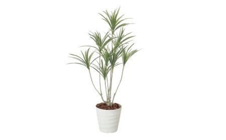 光の楽園 ドラセナ1.4（ポリ製）【配送不可：北海道・沖縄・離島】 インテリア 光触媒 人工植物 造花 フェイクグリーン 花 フラワー 清浄 消臭 浜松市