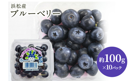 【浜松市産】ブルーベリー 約100g×10パック 計約1kg 甘酸っぱい アントシアニン 食物繊維 ビタミン ミネラル 抗酸化作用 腸内環境改善 美容 美肌 健康 静岡県 浜松市 6,930円