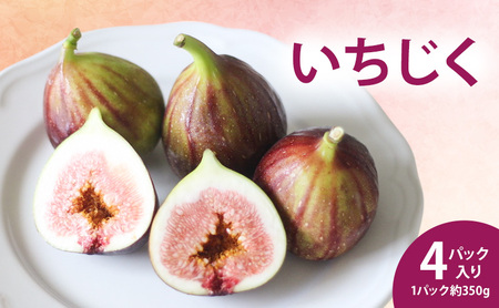 いちじく4パック入り 約350g×4パック 果物 フルーツ いちじく イチジク 無花果 食物繊維 ペクチン 貧血予防 鉄分 サラダ マリネ 国産 浜松市 静岡 【配送不可：北海道・沖縄・離島】