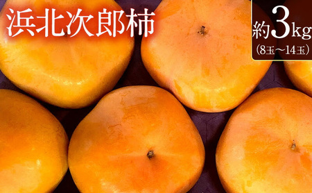 静岡県浜松市産 次郎柿 約3kg　8玉～14玉 柿 甘柿 フルーツ 果物 化粧箱入 静岡 浜松市【配送不可：離島】