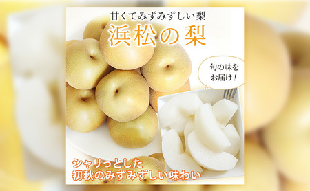 浜松市産 梨 約2.5kg 5～8玉入り なし フルーツ 果物 静岡 浜松市【配送不可：離島】