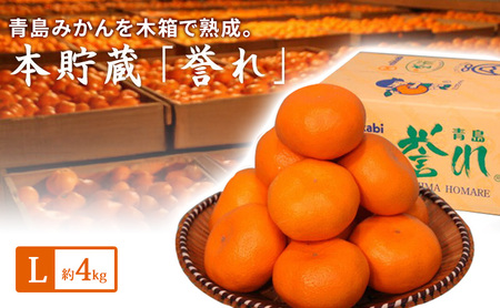 青島三ヶ日みかん 本貯蔵 「誉れ」  L 約4kg （約28個）みかん ミカン フルーツ 果物 静岡 浜松市 6,570円