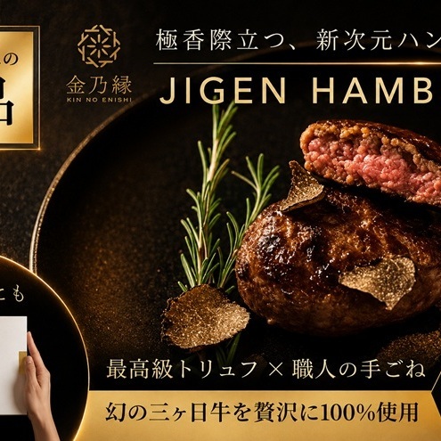 次元ハンバーグ120g×6個 【配送不可：離島】金乃縁 ハンバーグ 冷凍 国産 三ヶ日牛 牛肉 トリュフ風味 ギフト 冷凍食品 惣菜 静岡 浜松市