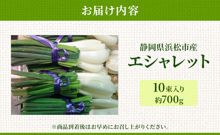 静岡県浜松市産エシャレット 10束入り 約700g 箱入り エシャレット 国産 野菜 静岡 浜松市 【配送不可：北海道・沖縄・離島】