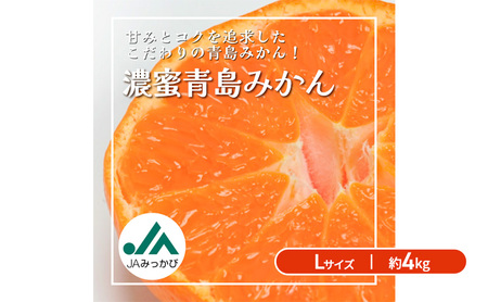 JAみっかび 濃蜜青島みかん L 約4kg 青島 三ヶ日みかん みかん ミカン 蜜柑 ギフト 甘い 糖度 静岡 浜松市 6,570円