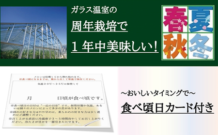 メロン 定期便 3ヶ月 クラウンメロン 白等級 1玉 フルーツ 果物 高級フルーツ 高級果物 季節のフルーツ 季節の果物 旬のフルーツ 旬の果物 フルーツ定期便 くだもの定期便 マスクメロン 青肉 静岡メロン 静岡県 浜松市 3回 定期 【配送不可：離島】
