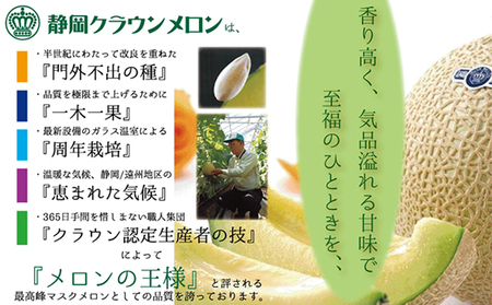 クラウンメロン白等級　2玉【3ヶ月定期便】【配送不可：離島】 メロン青肉 