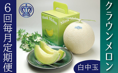 クラウンメロン白等級中玉　1玉【6ヶ月定期便】【配送不可：離島】 果物類 メロン青肉 フルーツ スイーツ 6回