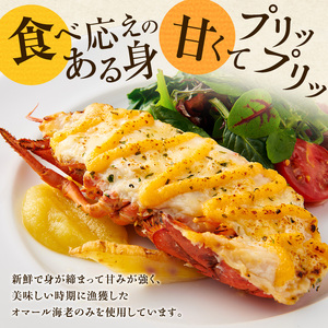 オマール海老のグラタン 4食入り Taste Fromage焼き セット 詰め合わせ オマール海老 グラタン エビグラタン チーズ 惣菜 加工食品 加工品 冷凍 冷凍食品 温めるだけ 簡単調理 静岡 静岡県 浜松市 【配送不可:北海道・沖縄・離島】